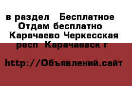  в раздел : Бесплатное » Отдам бесплатно . Карачаево-Черкесская респ.,Карачаевск г.
